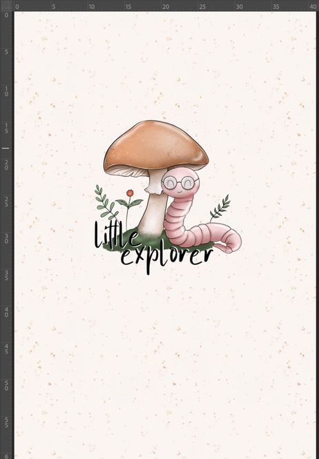Hovedbilde FT panel Little Explorer B, str M,  40x60cm