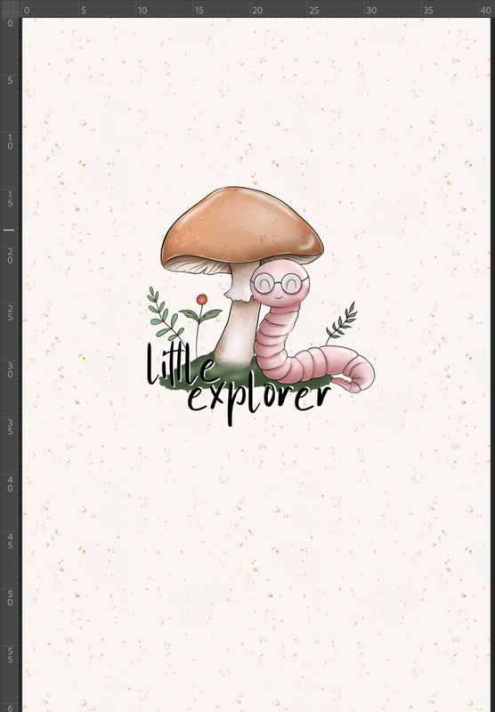 FT panel Little Explorer B, str M,  40x60cm