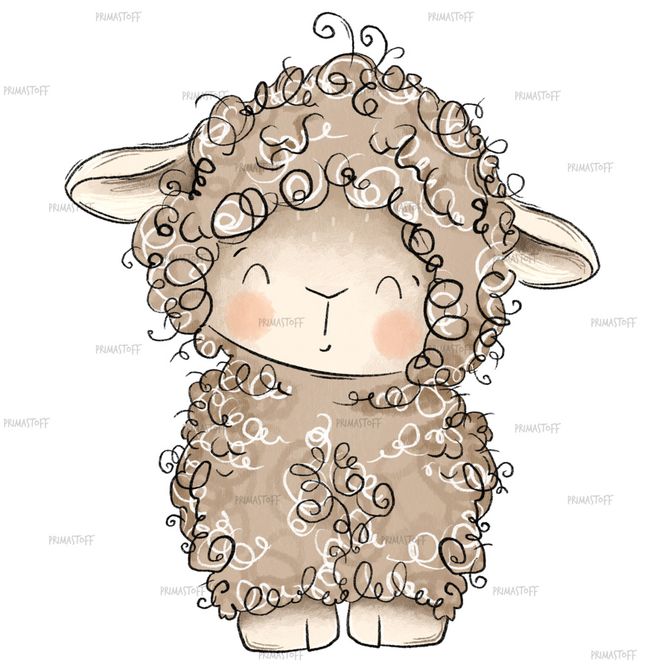 Hovedbilde Sau Beige