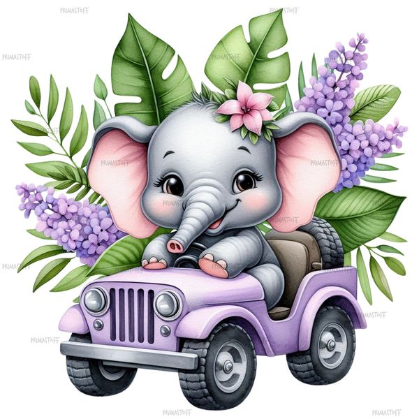 Safari